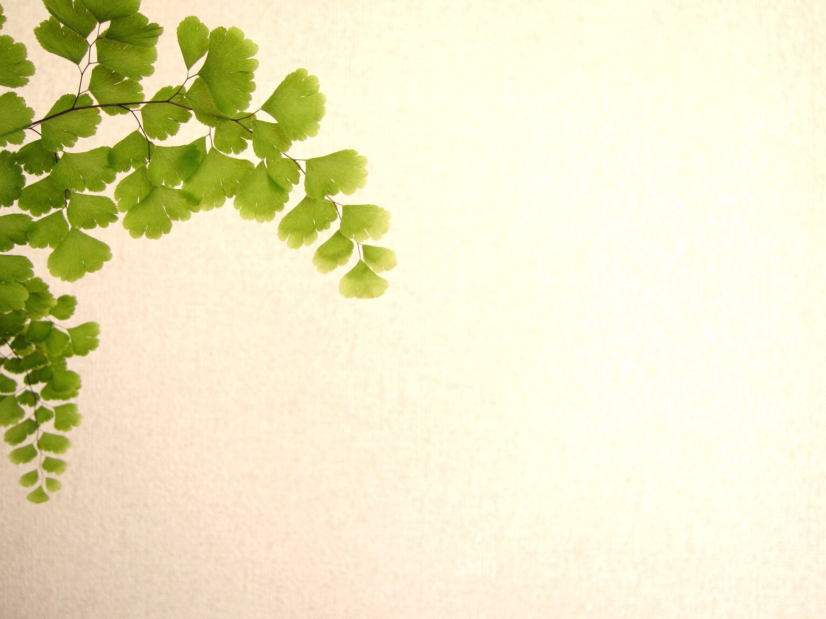 多文化人材情報センター