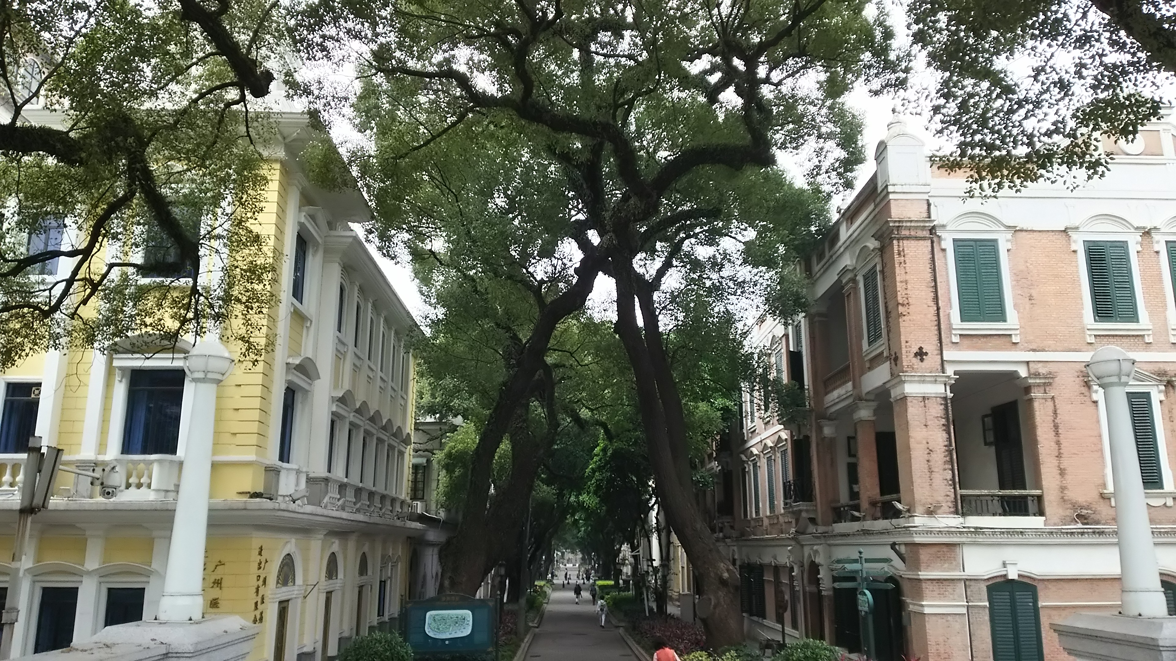 多文化人材情報センター