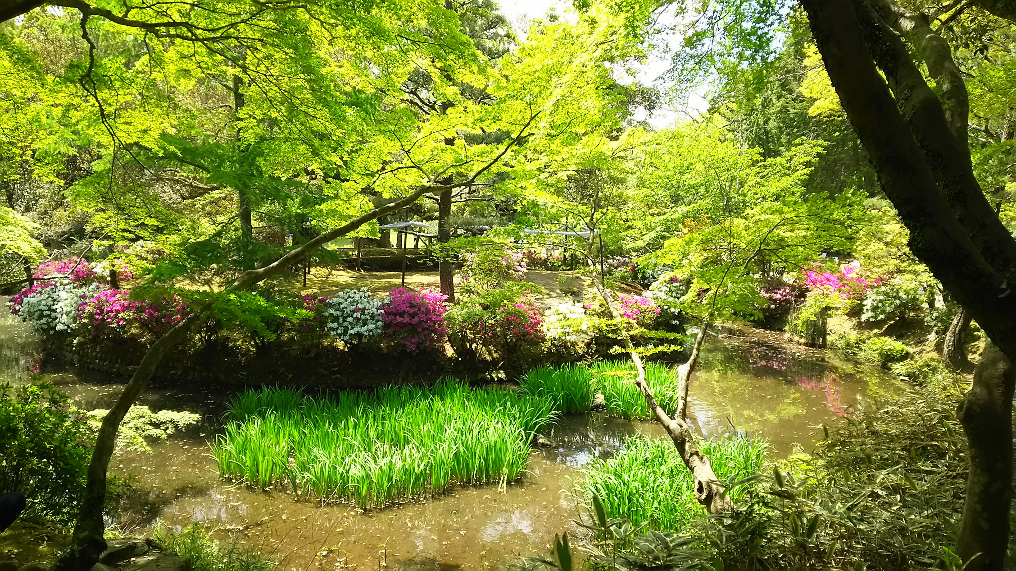 多文化人材情報センター