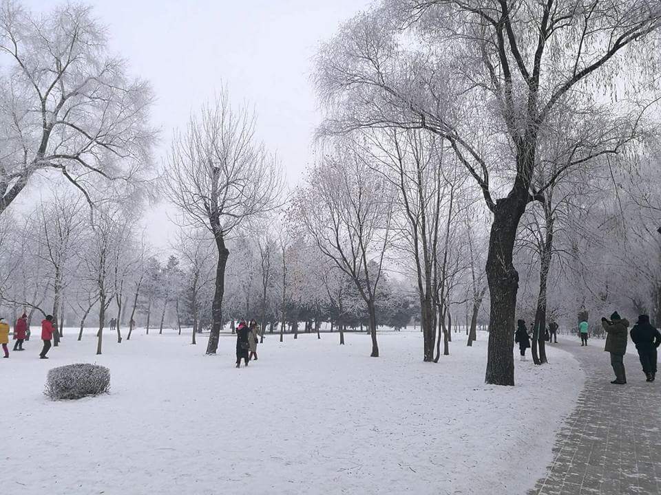 多文化人材情報センター