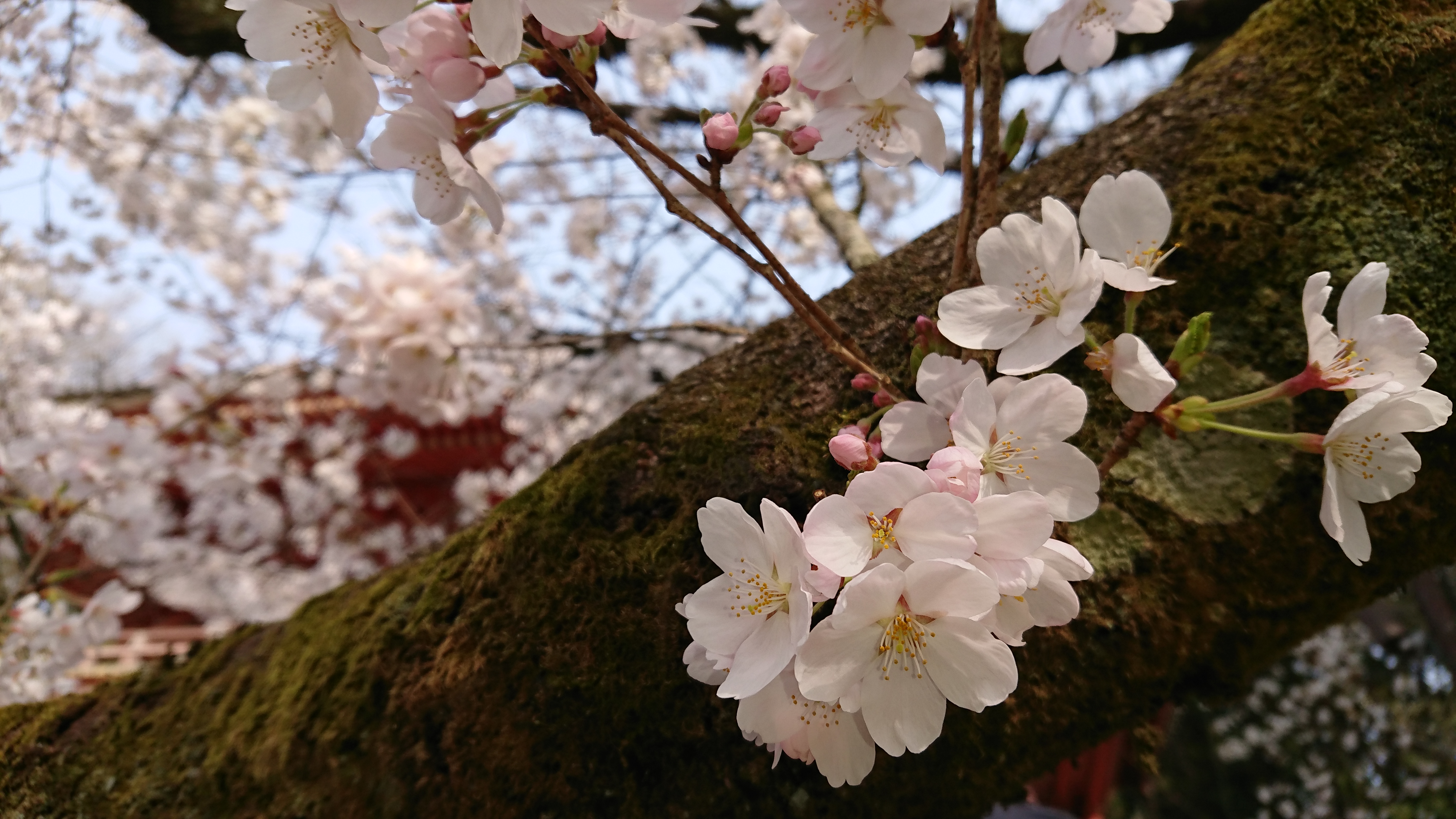 多文化人材情報センター