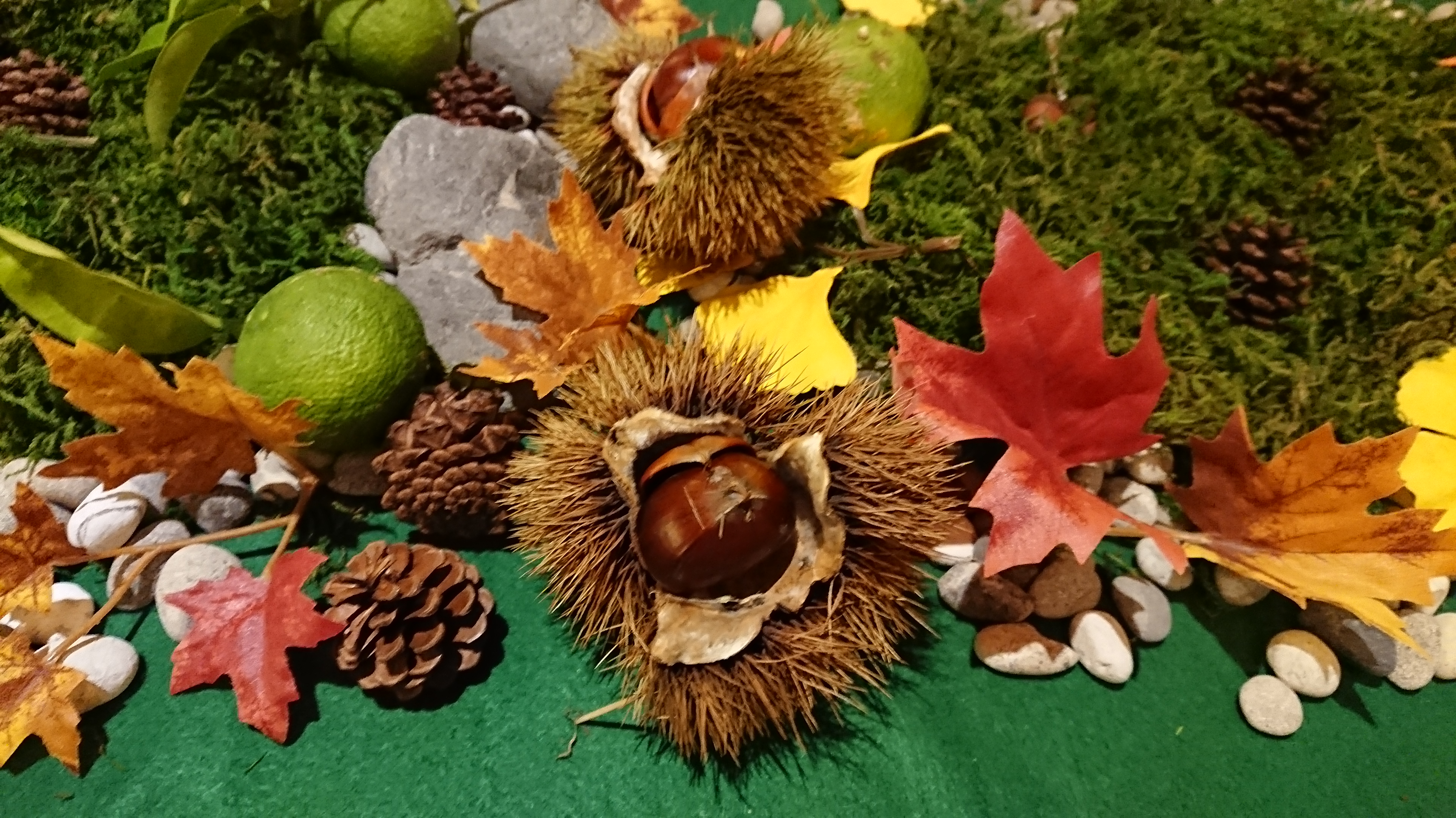 多文化人材情報センター