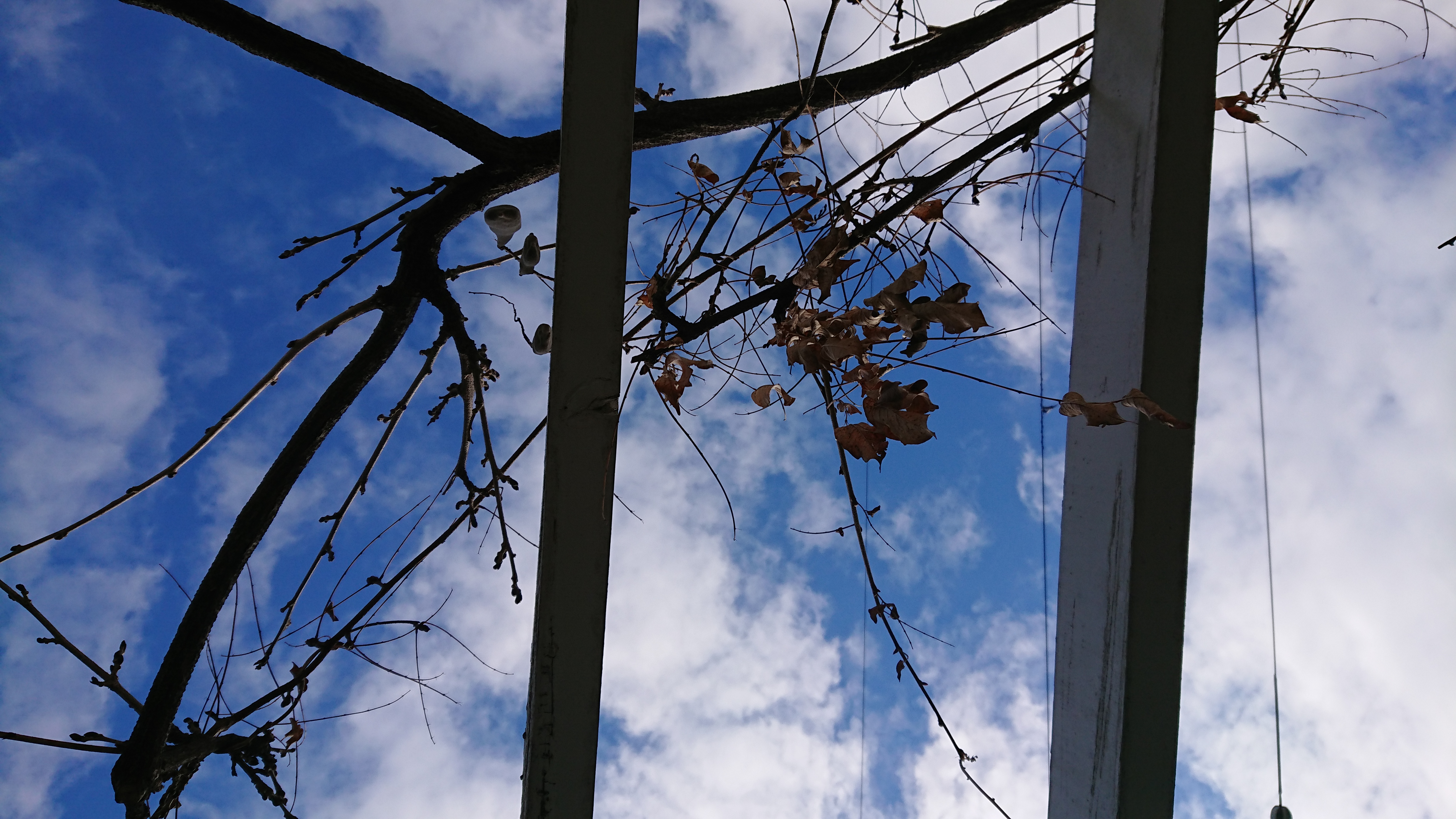 多文化人材情報センター