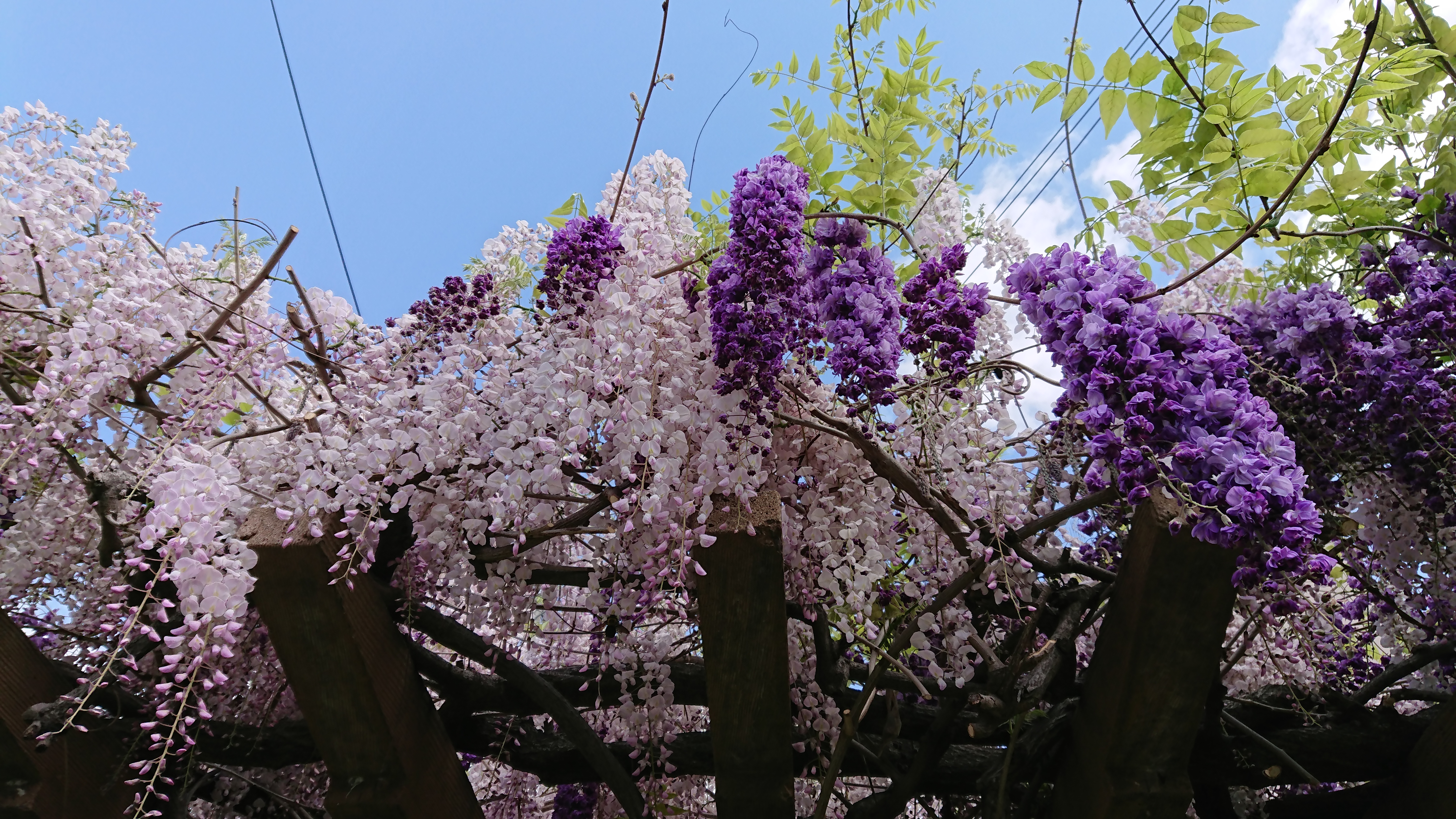 多文化人材情報センター