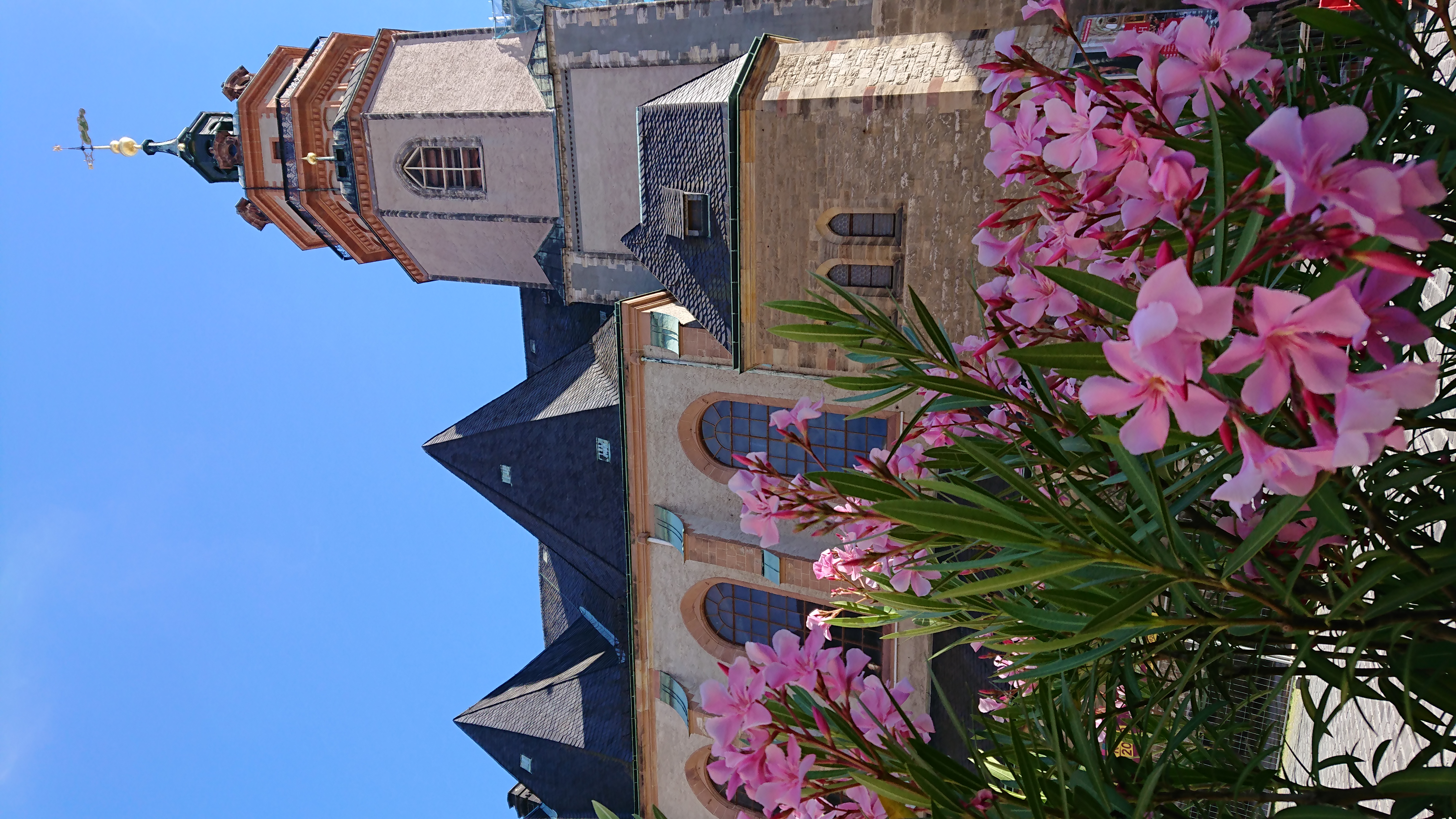 多文化人材情報センター