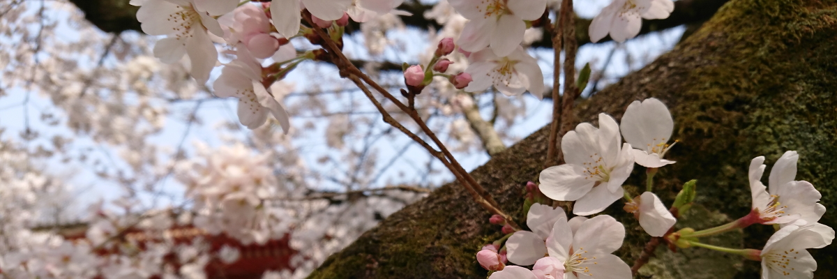 多文化人材情報センター