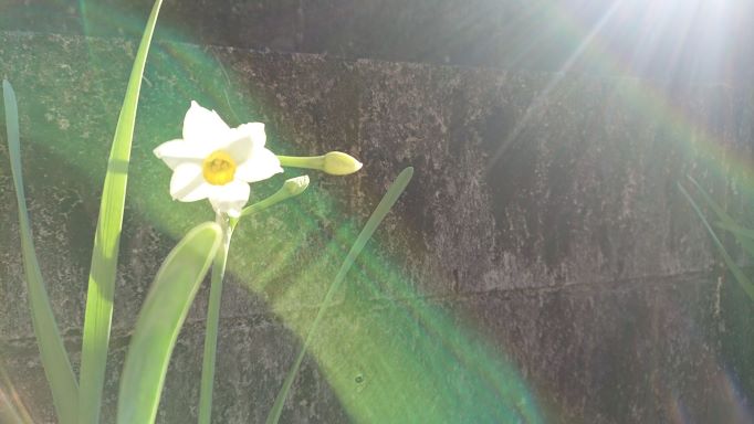 多文化人材情報センター