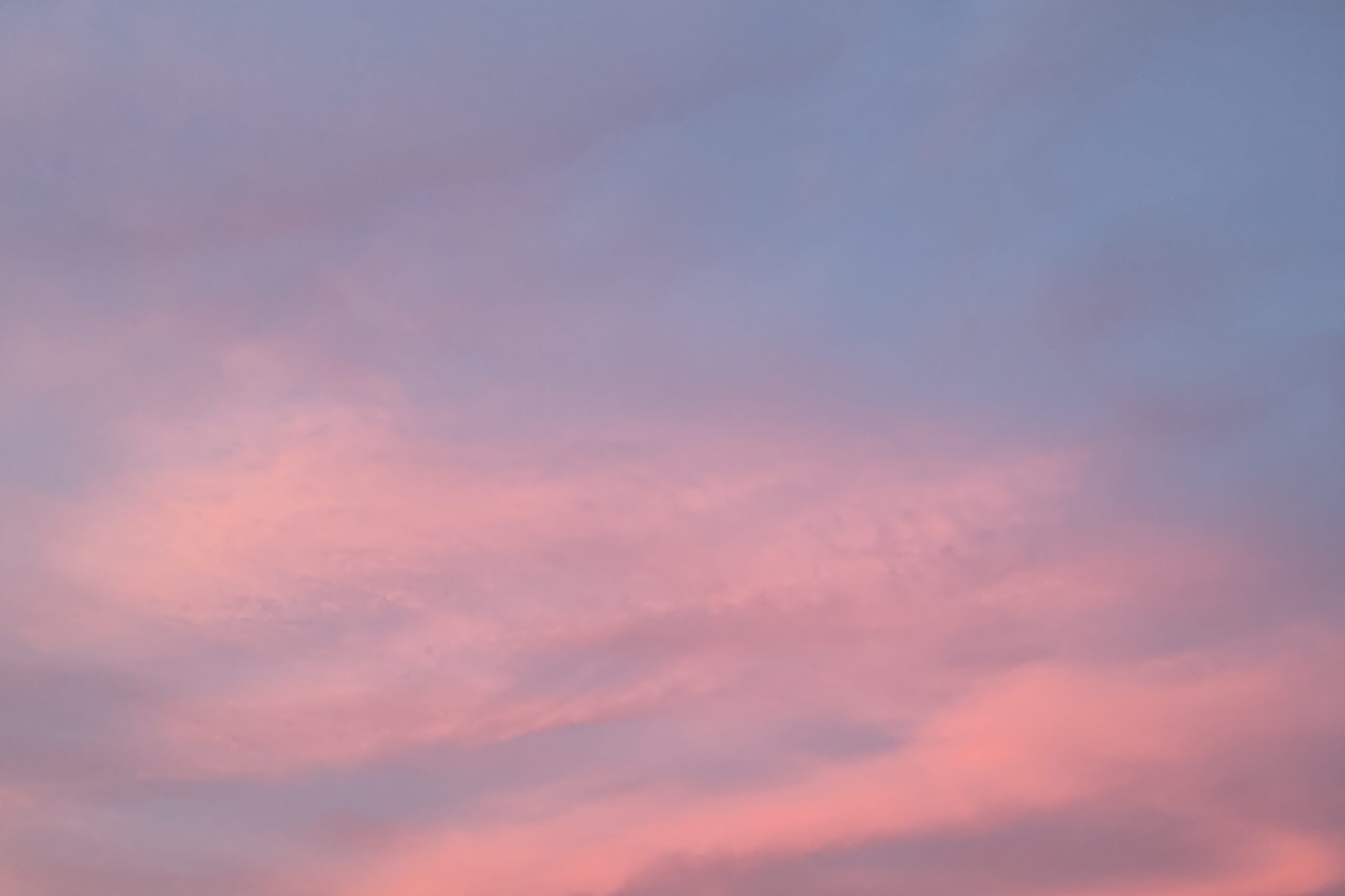 多文化人材情報センター